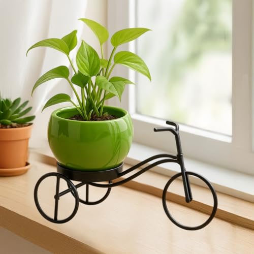 CINAGRO Cycle-Shaped Metal Plant Stand for Indoor & Outdoor Use, Metal Cycle Flower Vase, Decorative Iron Planter Pot Holder for Flowers & Ornaments (24 x 11 x 11cm) Style: Urban Pedal, Big - Image 1