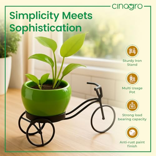 CINAGRO Cycle-Shaped Metal Plant Stand for Indoor & Outdoor Use, Metal Cycle Flower Vase, Decorative Iron Planter Pot Holder for Flowers & Ornaments (24 x 11 x 11cm) Style: Urban Pedal, Big - Image 3