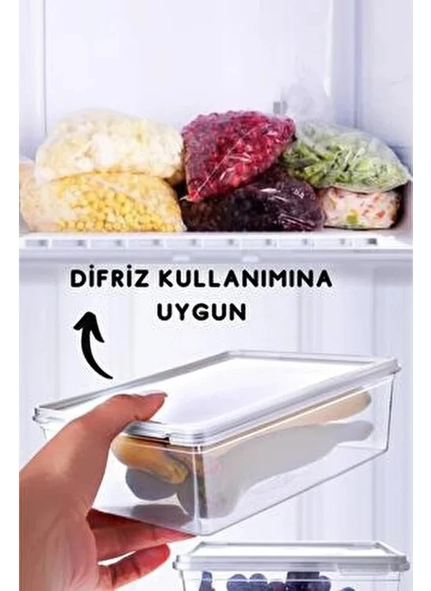 Hane216 5-Piece Self-Lidded Storage Container Suitable for Deep Freezer 2 Lt
