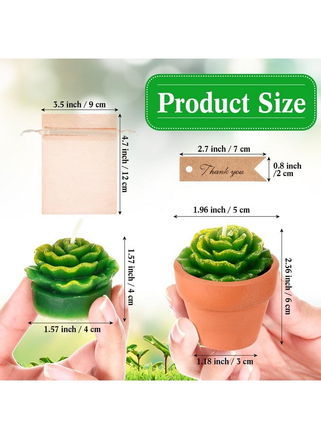 Mtlee MTLEE 36 Pcs Succulent Candles Decorative Cactus Tealight Candle Tea Lights Handmade Baby Shower Decorations Plant with Mini Terracotta Clay Holders for Wedding Home Party Decor  - Image 2