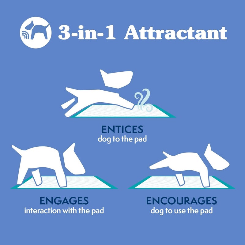 Simple Solution Extra Large Dog Training Pads - 50 Count, 28"x30", 6-Layer Leak Proof, Odor Neutralizing, InstaShield Absorbent - Image 4