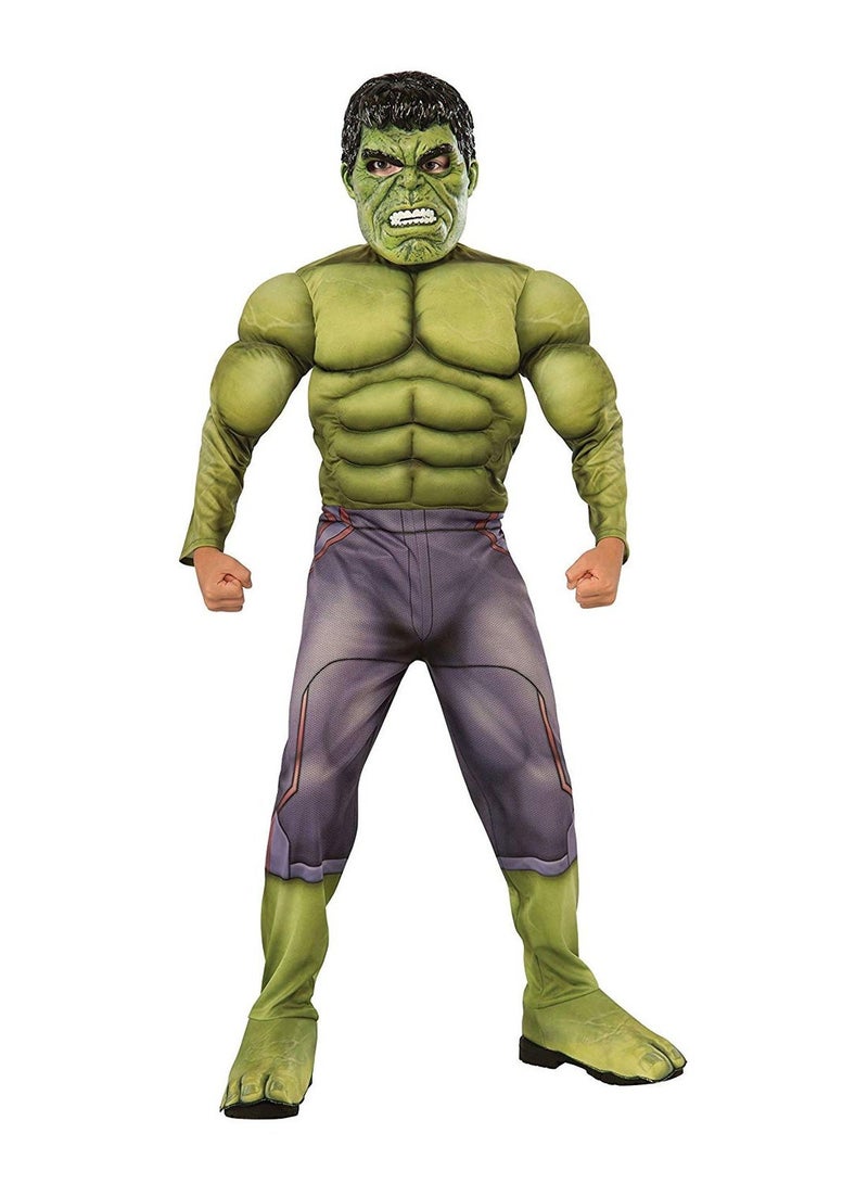 Marvel Avengers Hulk Costume