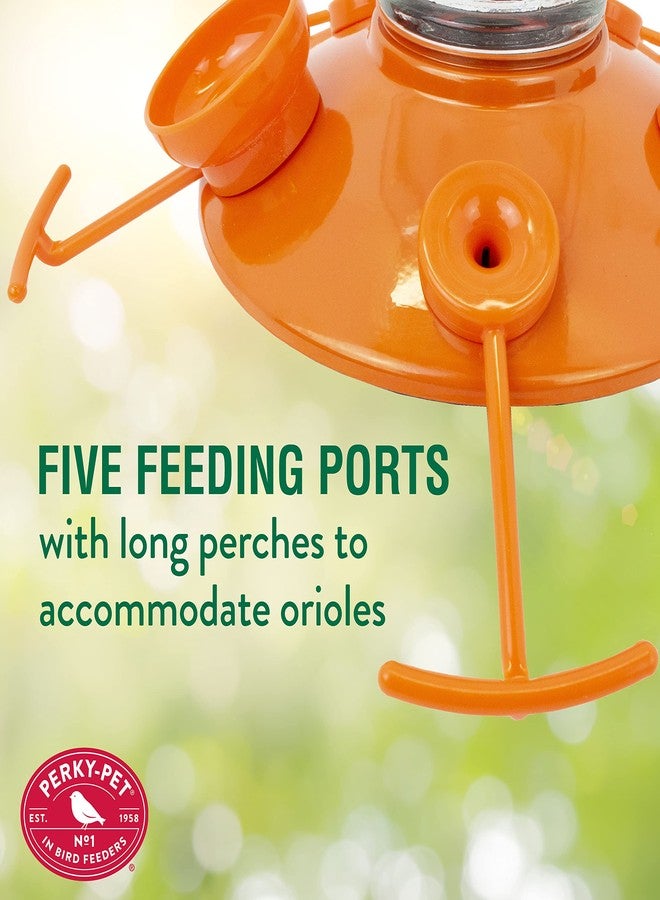 Perky-Pet 9113-2 Top-Fill Glass Oriole Feeder - 22 Oz, Orange - Image 4