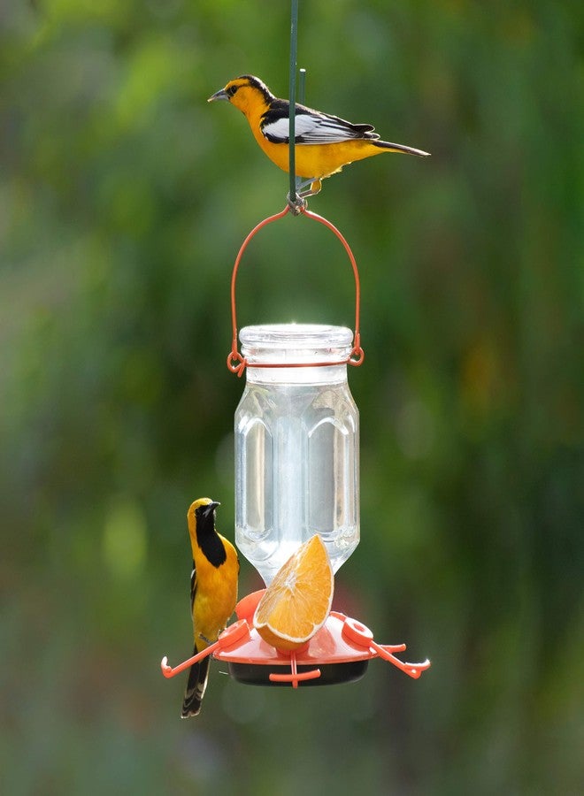 Perky-Pet 9113-2 Top-Fill Glass Oriole Feeder - 22 Oz, Orange - Image 2