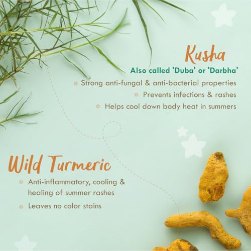 Nat Habit Everyday Talc Free Raw Haldi Kusha Baby Powder, Chemical Free & Rashfree, 0-5 Yrs - (150 g) - Image 4