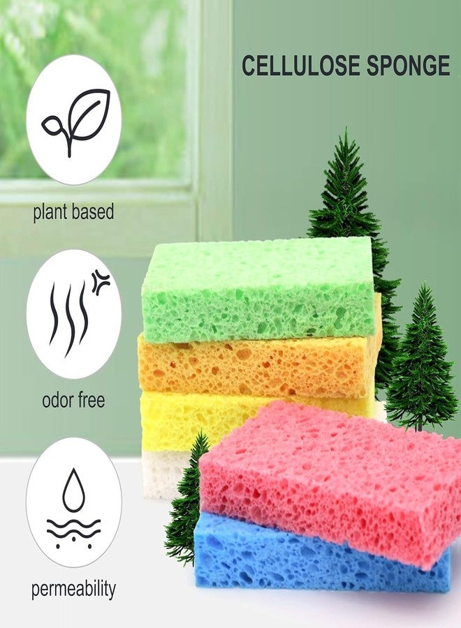 BELARO Pink Kitchen Sponges, Biodegradable Non-Scratch Cleaning Sponges for Dishes, Utensils, Kitchen Surfaces, Durable and Absorbent (4) - Image 3