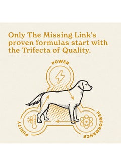 The Missing Link Missing Link Ultimate Skin and Coat Dog Supplement, 1 Pound each (Pack of 3)  - Image 3