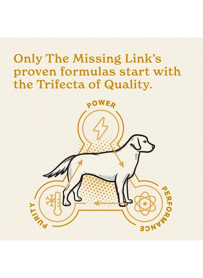 The Missing Link - Missing Link Ultimate Skin and Coat Dog Supplement, 1 Pound each (Pack of 3) - Image 1