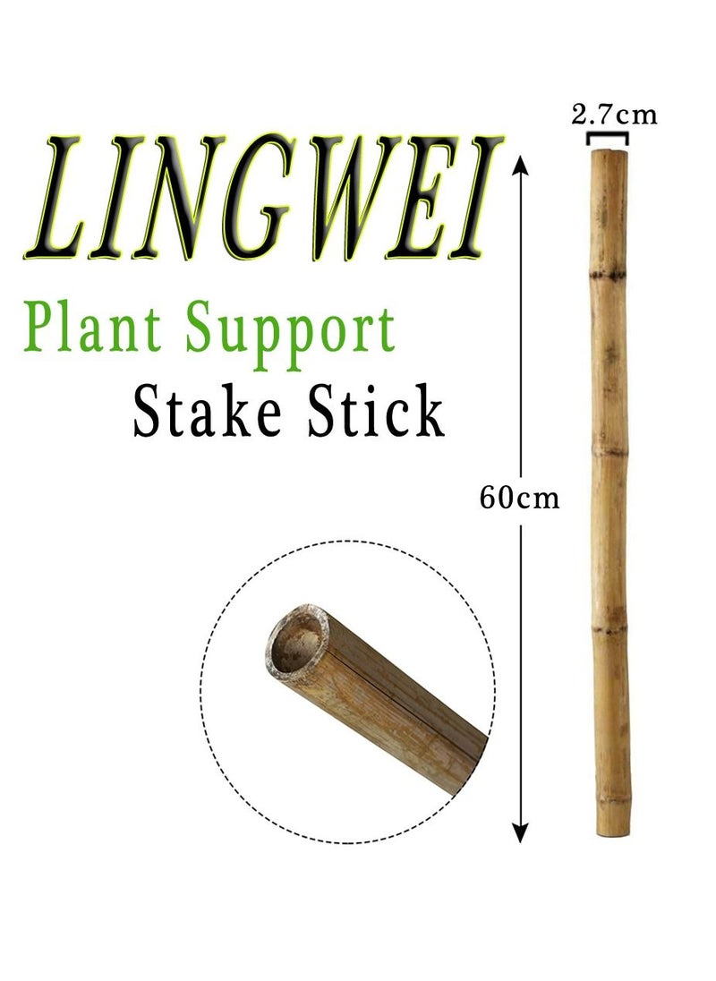 LINGWEI - 10 pcs Bamboo Plant Support Stake - Image 1