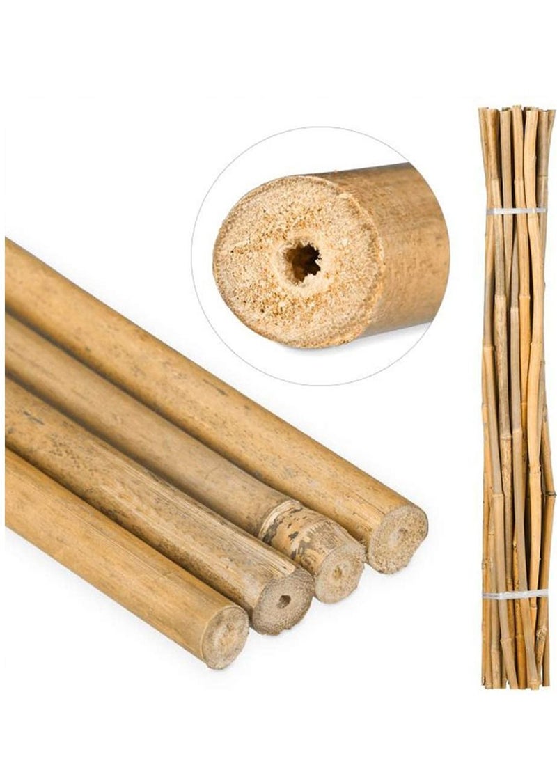 LINGWEI - 10 pcs Bamboo Plant Support Stake - Image 1