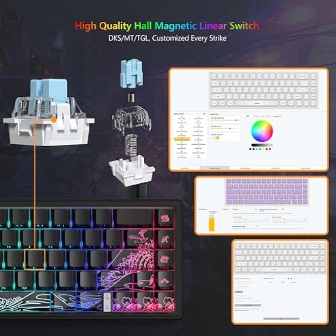 rayihni M68 HE V2 RAPID TRIGGER KEYBOARD 60% PERCENT, HALL EFFECT KANAGAWA GAMING KEYBOARD, WIRED RGB CUSTOM MECHANICAL KEY BOARD WITH MAGNETIC SWITCH, PBT KEYCAPS FOR MAC/WIN-BLACK 3.0 - Image 2