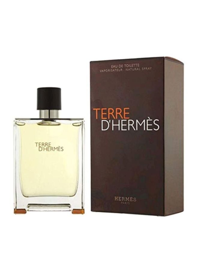 HERMES Terre D'Hermes EDT 200ml - Image 2