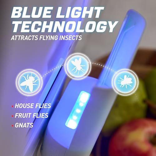 Ortho Home Defense Max Indoor Flying Insect Trap - Light Sticky Trap for House Flies, Fruit Flies, and Gnats, 1 Plug-in and 4 Refills - Image 2