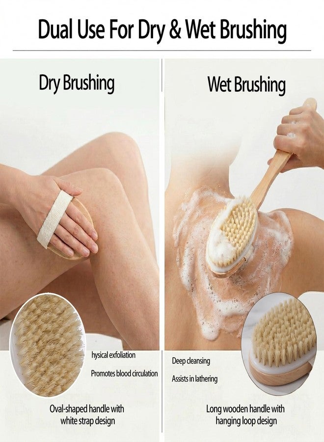 Tongcloud 3 Pack Dry Brushing Body Brush Natural Bristle Exfoliating Brush with Massage Nodes for Improving Skin Health - Image 4