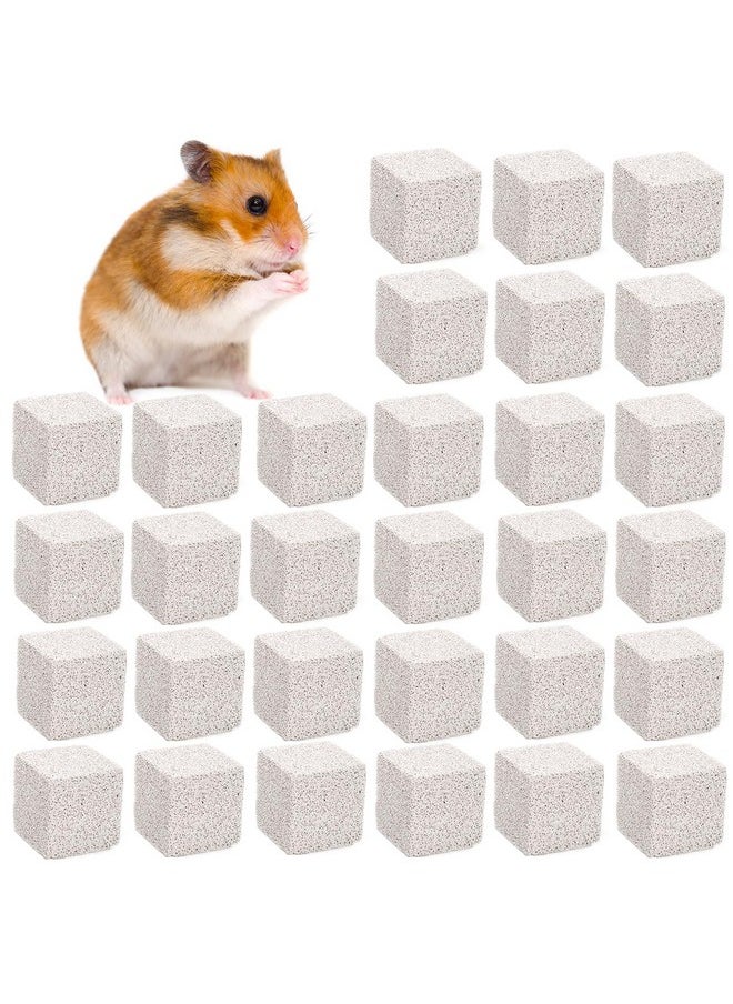 DEAYOU - DEAYOU 30 Pack Small Animal Lava Bites, Hamster Teeth Grinding Block, Bunny Chew Toys, Natural Mineral Calcium Square Stone for Chinchilla, Squirrel, Rat, Parrot, Rabbit, Guinea Pig - Image 1