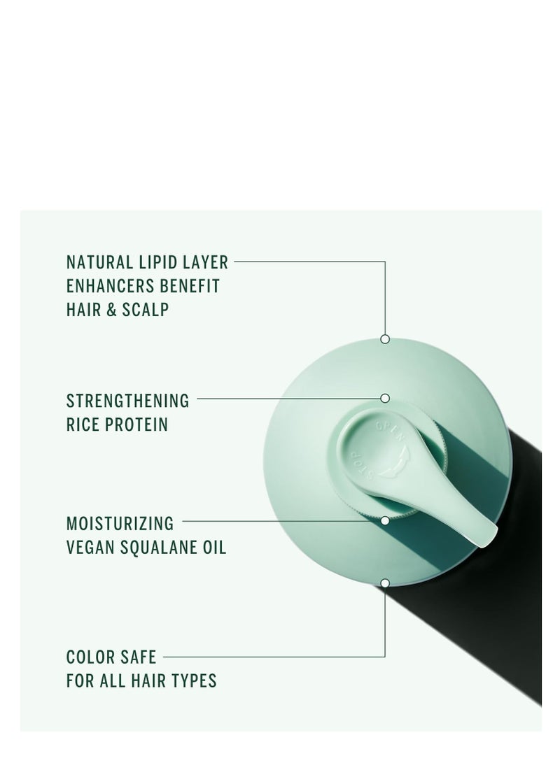 Corpus Cypress Shampoo 266ml - Image 3
