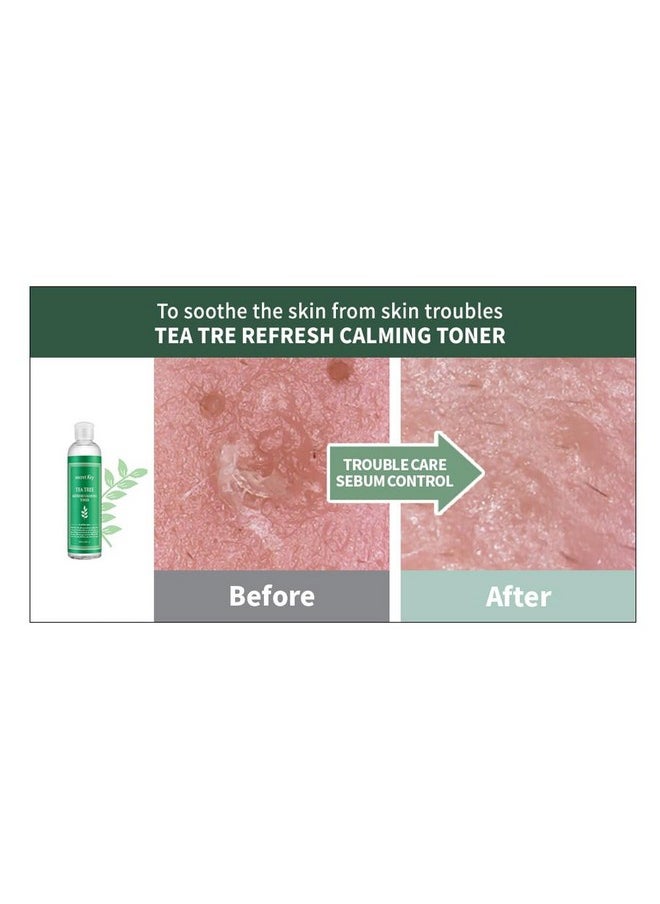 Secret Key Secret Key Refresh Calming Toner, Tea Tree, 8.38 fl oz (248 ml)  - Image 4