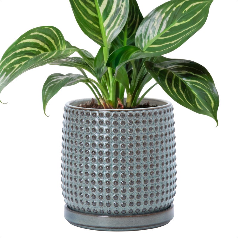 D'vine Dev 6 Inch Ceramic Beaded Stoneware Planter Pot - Flower Pot with Drainage Holes and Saucers for Indoor Succulent Plants or Flowers, Graphite Blue, 27-C-X-9 - Image 1