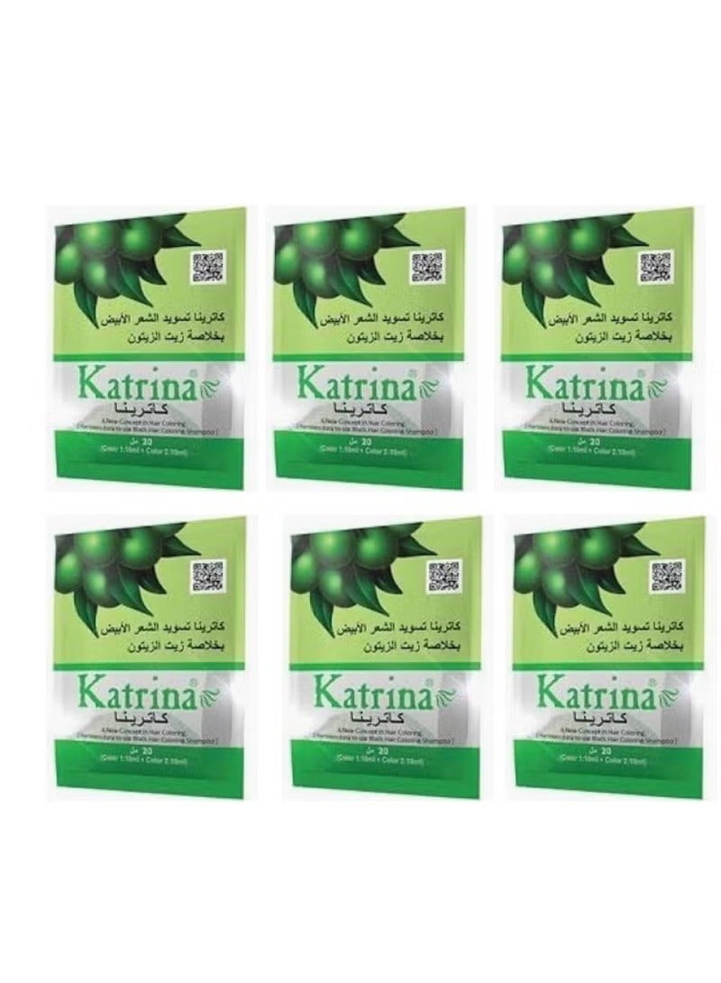 Katrina hair shampoo black pack of 6