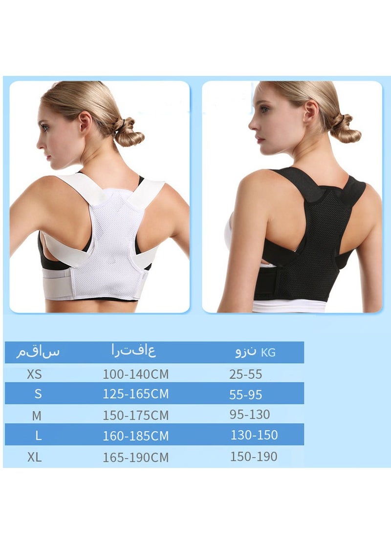 Beauenty - Adjustable Back Corrector Corset To Correct Body Posture Clavicle Spine Shoulder And Lumbar Support Gray Color Size - Image 1