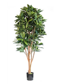 Gulf Flowers Artificial Lady schefflera tree with real trunk