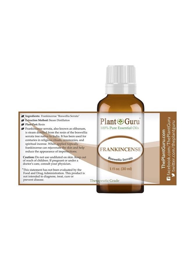 Plant Guru Frankincense Essential Oil 30 ml / 1 oz Extract of Boswellia Serrata 100% Pure Undiluted Therapeutic Grade.  - Image 2