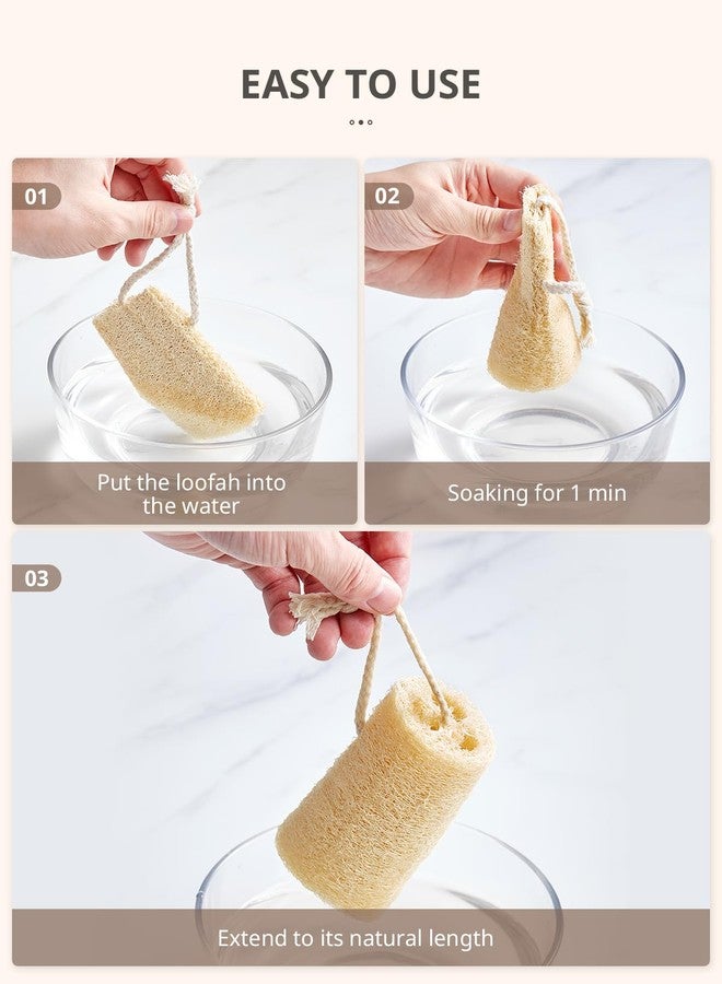 Reemix Natural Loofah Exfoliating Body Scrubber 4-Piece Long Cylinder Set - Large Home & Shower Sponge for Face & Body, Eco-Friendly Bath Tool for Gentle Exfoliation, Spa-Like Experience at Home - Image 3