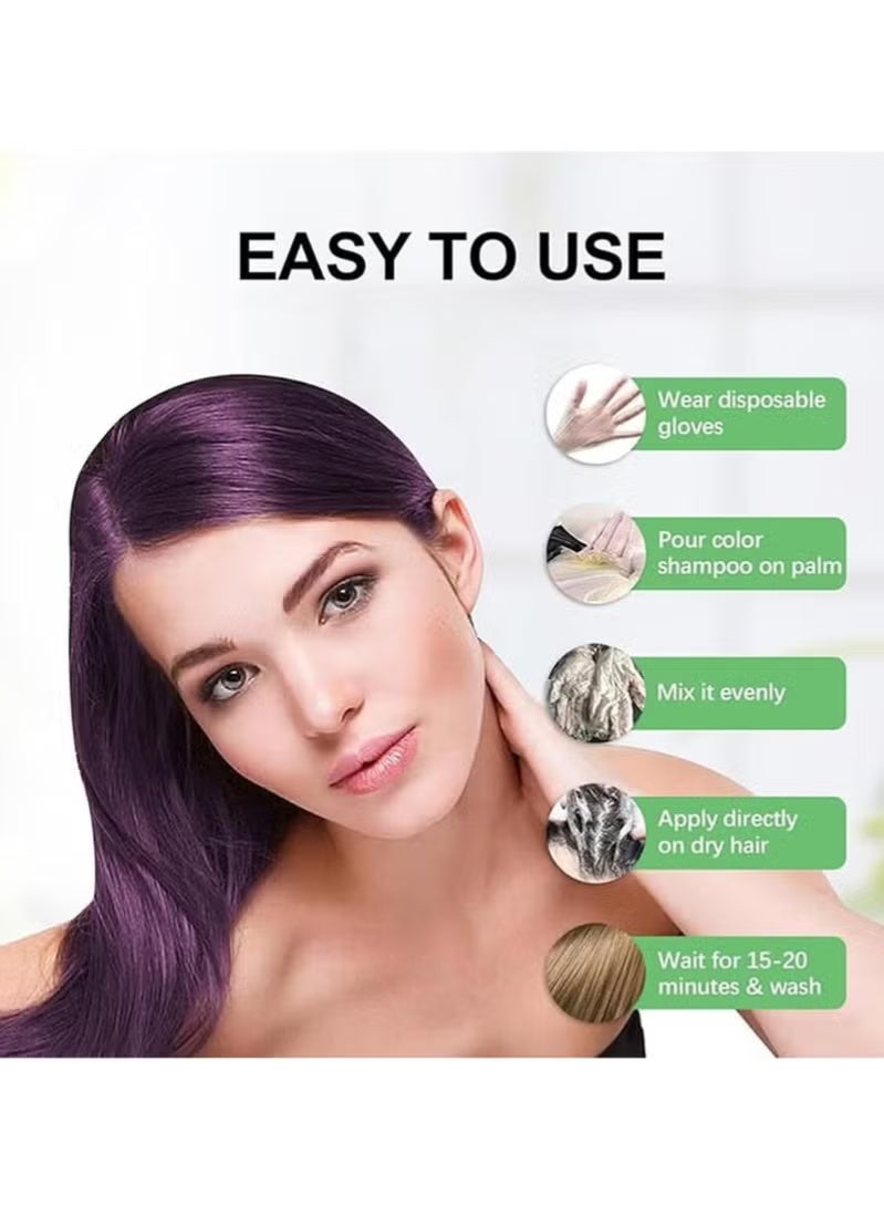 POLAR Hair Care Shampoo, Polar Hair Care Instant Dye Shampoo, Polar Hair Care Dye Shampoo (Purple) - Image 3