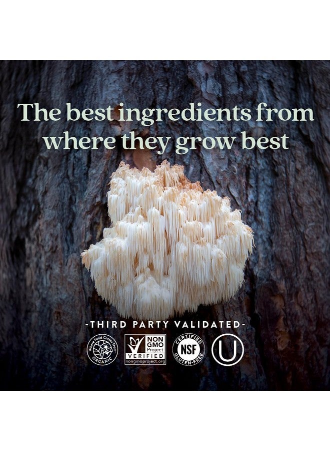 New Chapter Lion's Mane + Reishi Mushroom - LifeShield Mind Force for Mental Clarity with Organic Reishi Mushroom + Vegan + Non-GMO, Nootropic Ingredients - 60 ct - Image 5