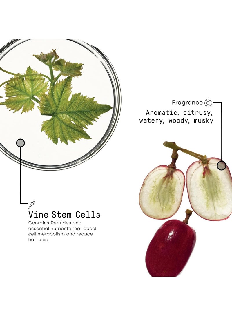 فراميسي مورفوزيسيس - بخاخ مقوي منشط 150 ممورفوزيسيس - بخاخ مقوي منشط 150 ملل - Image 4