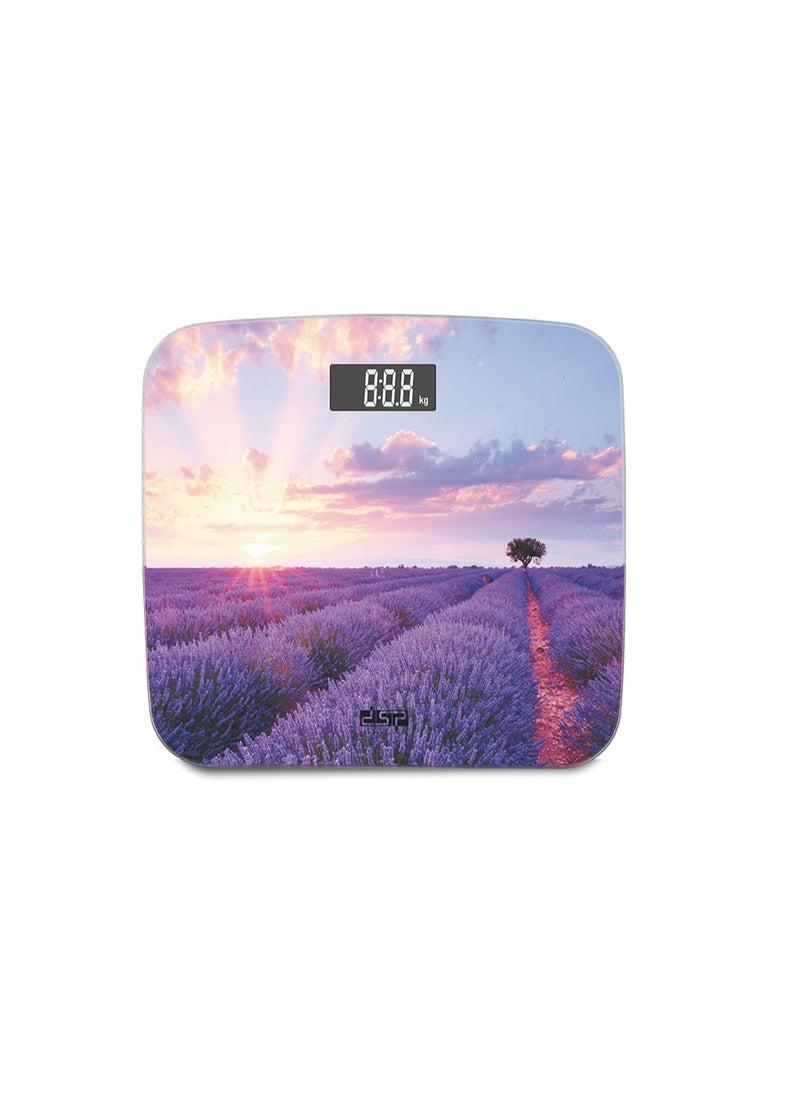 DSP personal digital scale KD-7020  - Image 2