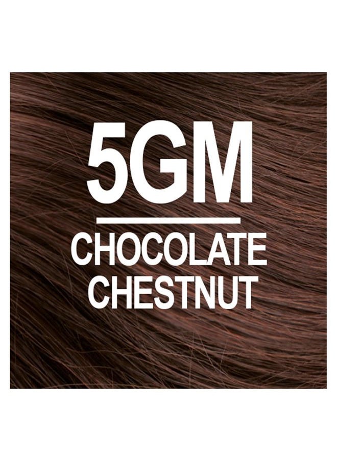 NATURTINT 5GM Chocolate Chestnut Permanent Hair Color (Pack of 6), Ammonia Free, Vegan, Cruelty Free, up to 100% Gray Coverage, Long Lasting Results (Packaging may vary)  - Image 3