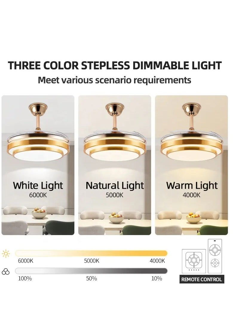 MODI - Modern 42 Inch Remote Control Retractable Blade Invisible Speaker Ceiling Fan With Light and Remote Control IN GOLD - Image 1