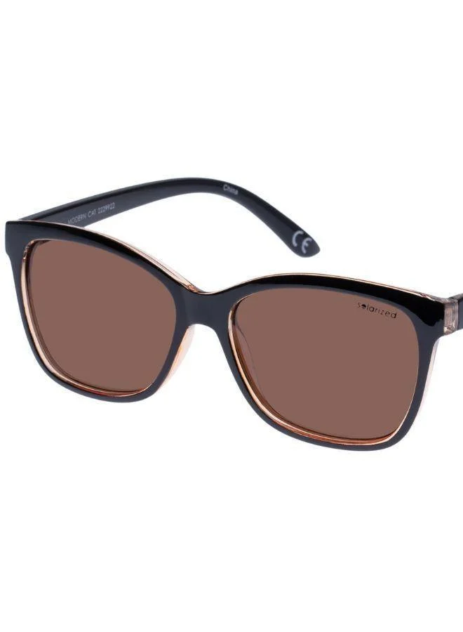 "سولاريزد" قطة حديثة