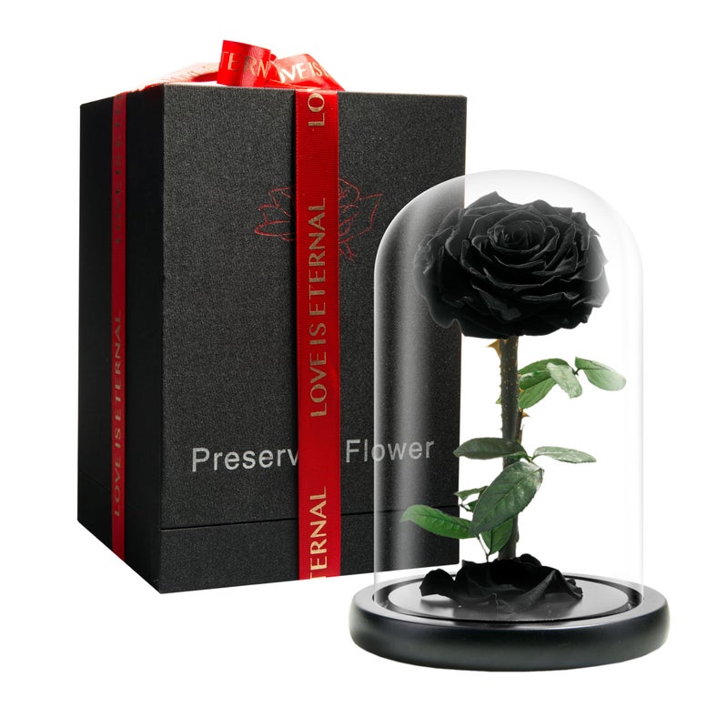 LOVAPPY Forever Preserved Rose  Eternal Rose in Glass Dome  Beauty and The Beast Rose for Mom  Fresh Flowers for Delivery Prime Pink 9 Inch