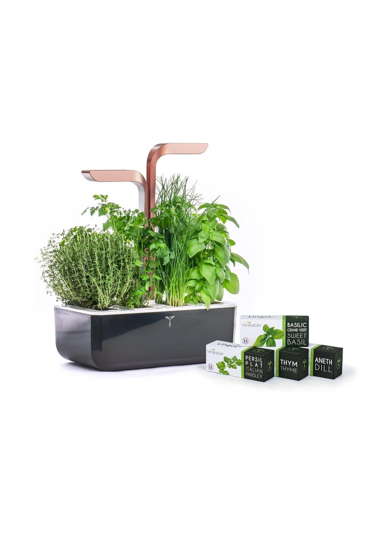 Veritable Veritable Black Copper Smart 4-Slot Indoor Garden - Organiic  - Image 2