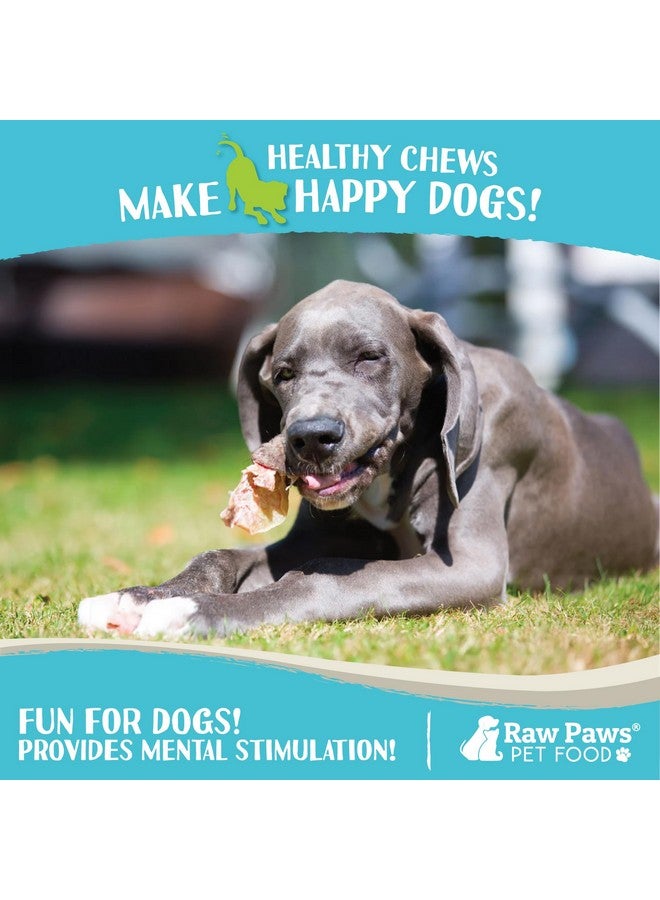 Raw Paws Lamb Ears for Dogs (30 Pack) - Packed in USA - Crunchy Lamb Dog Treats - Single Ingredient, Natural Rawhide Alternative Dog Chews - Preservative & Additive Free - Image 5