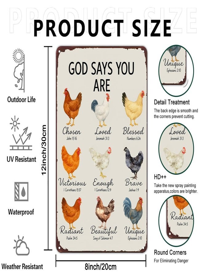 Funnysign Chicken Gifts God Says You Are Amazing Vintage Tin Sign for Chicken Coop Farm Kitchen Garden Yard Decor 8x12 inch (3912) - Image 2
