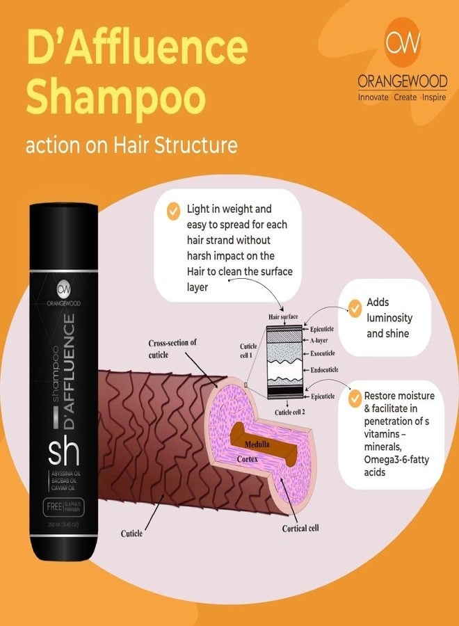 ORANGEWOOD Luxury D'Affluence Shampoo All Hair Type Shampoo for Hair and Scalp, Clear Dandruff & Flakes with PH balance Total Hair Nutrition for Men and Women, 250ml - Image 4