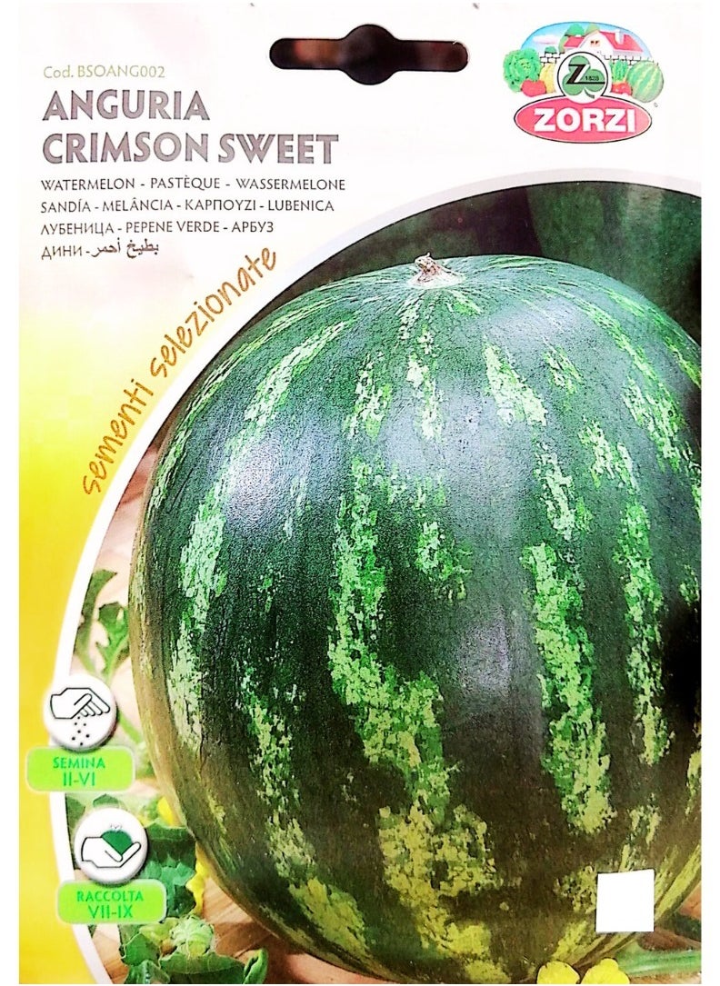 ZORZI - Crimson Sweet Watermelon Seeds - Image 1