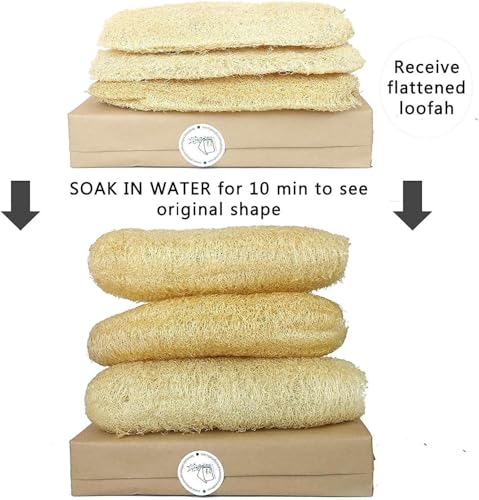 Miw Piw Natural Whole Loofah Dish Sponge (Pack 3) - Multipurpose Dish Sponges - 100% Biodegradable Compostable, Dishwashing Scouring Pad, Zero Waste - Image 2