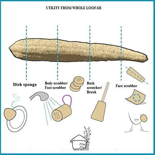 Miw Piw Natural Whole Loofah Dish Sponge (Pack 3) - Multipurpose Dish Sponges - 100% Biodegradable Compostable, Dishwashing Scouring Pad, Zero Waste - Image 3
