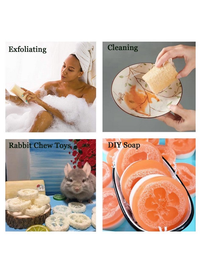 FRTIM Natural Loofah Sponge Shower Organic Luffa Exfoliating Bath Loofa Body Scrubber For Men Women Adults Back Face Skin Spa Care 6 Pieces - Image 5