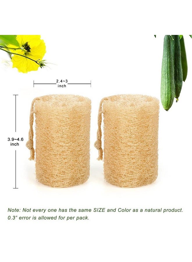 FRTIM Natural Loofah Sponge Shower Organic Luffa Exfoliating Bath Loofa Body Scrubber For Men Women Adults Back Face Skin Spa Care 6 Pieces - Image 3