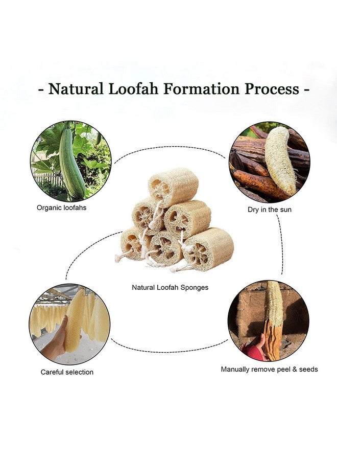 FRTIM Natural Loofah Sponge Shower Organic Luffa Exfoliating Bath Loofa Body Scrubber For Men Women Adults Back Face Skin Spa Care 6 Pieces - Image 4