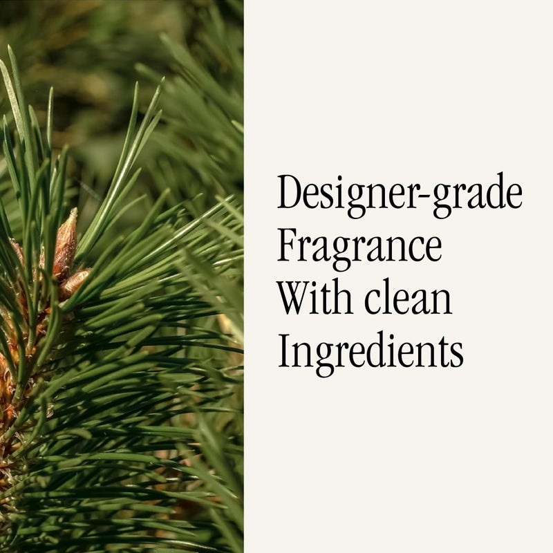 بيورا Pura & K. Hall Designs Home Specent Revill - Smart Home Air Desterser - ما يصل إلى 120 ساعة من العطور الممتازة لكل إعادة ملء - العطر الناشر النظيف - 2 Pack Siberian Fir - Image 4