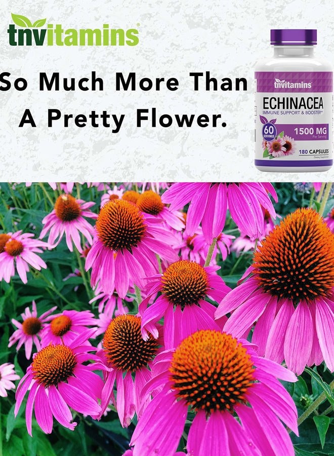 tnvitamins Echinacea Capsules (1500 MG - 180 Capsules) | Supports Health & Well-Being | Echinacea Root Herbal Extract Supplement | Produced in The USA - Image 5