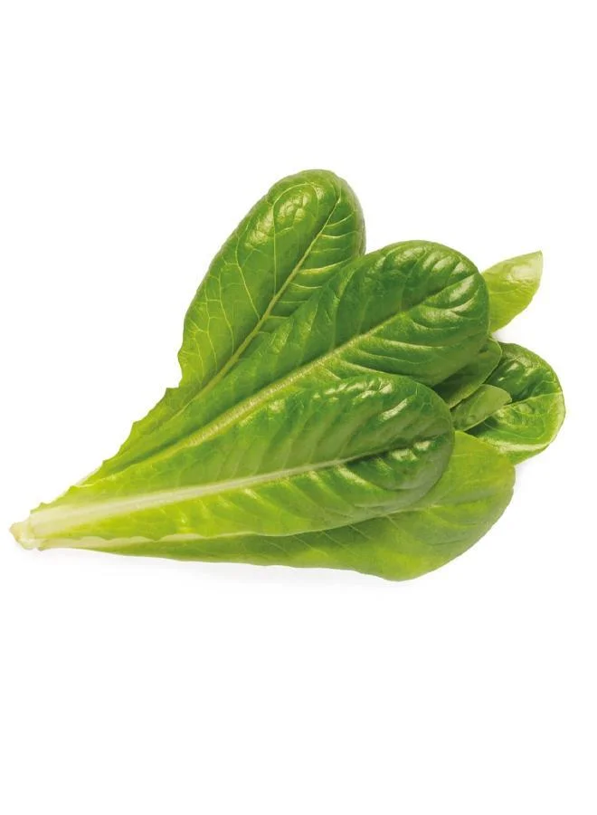 Click & Grow Click & Grow Plant Pods Romaine Lettuce