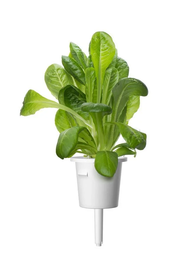 Click & Grow Click & Grow Plant Pods Romaine Lettuce