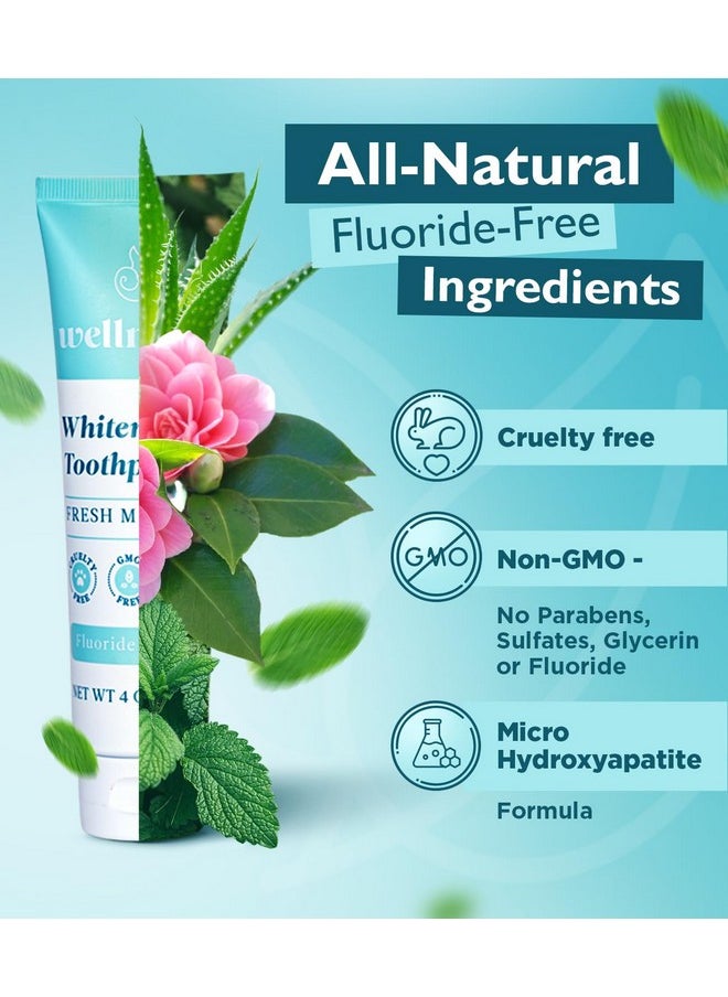 Wellnesse - Wellnesse Whitening Hydroxyapatite Toothpaste with Xylitol - Remineralizing and Sensitivity Relief - Fluoride Free Toothpaste with Natural Ingredients - Remineralization Natural Toothpaste - Image 1